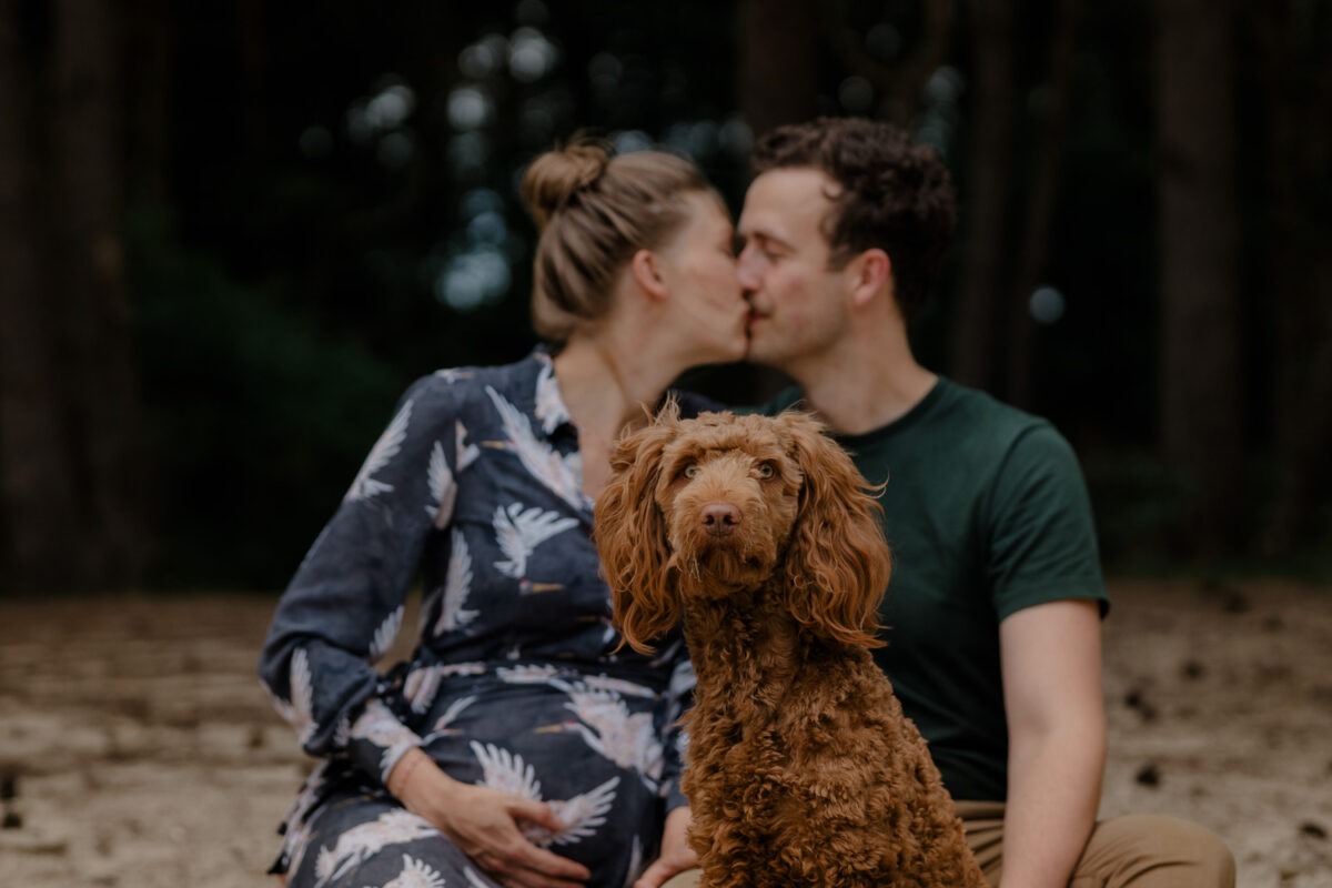 Ein Babybauchshooting mit Hund im Warwer Sand | Hannah, Max & Smutje 5 Paar im Warwer Sand sitzend, unscharf im Hintergrund, Vordergrund Hund in Kamera schauend